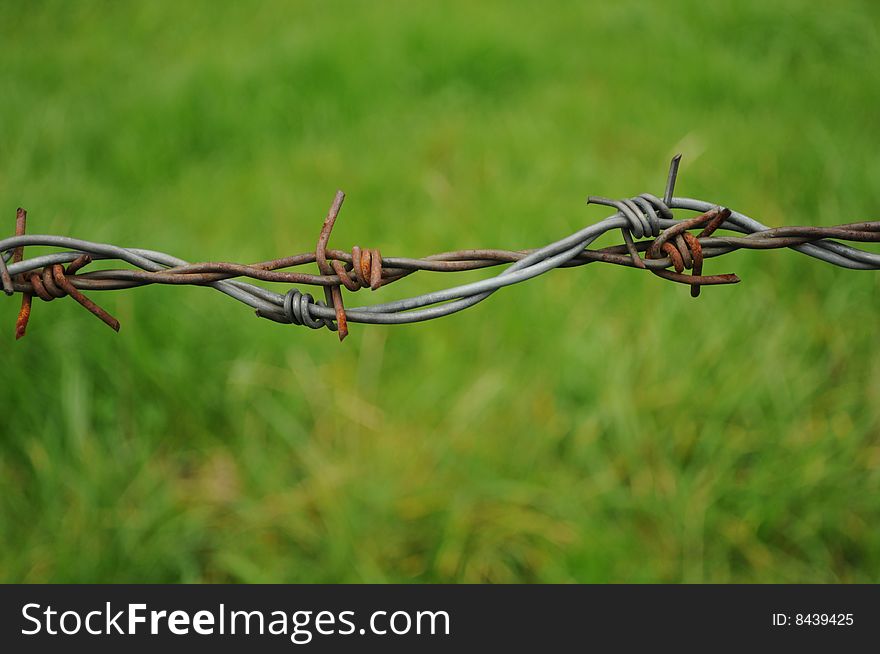 A barb wire fence at an alpine meadow. A barb wire fence at an alpine meadow.
