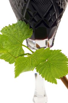 Wine And Vine Royalty Free Stock Photography Wine And Vine Royalty Free Stock Photography