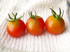 Tiny Tomatoes Stock Images Tiny Tomatoes Stock Images