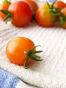 Tiny Tomatoes Stock Photography Tiny Tomatoes Stock Photography