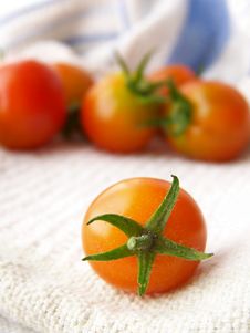 Tiny Tomatoes Stock Photo Tiny Tomatoes Stock Photo