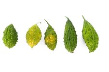 Vegetable Stock Photo