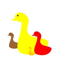 Duck Family Stock Image