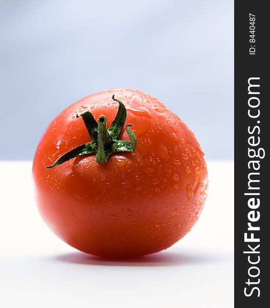 Tomato with drops. On white. Tomato with drops. On white