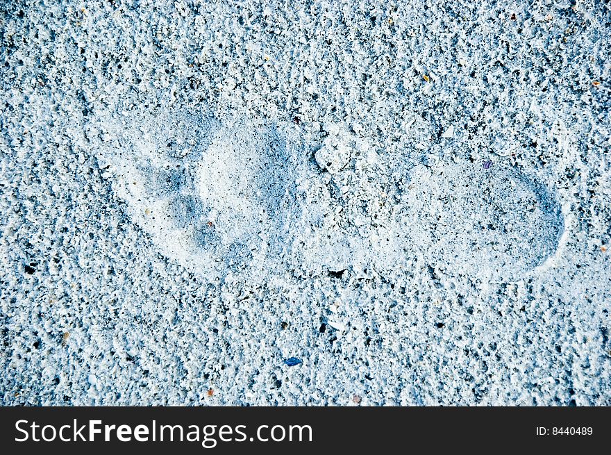 Footprint In Sand