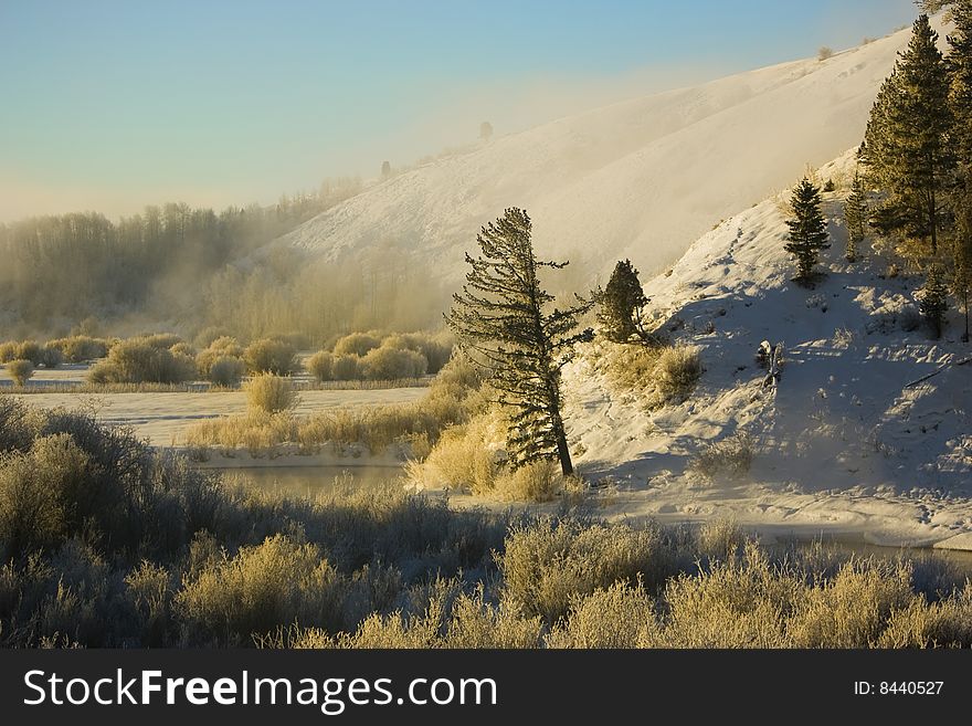 A winter snow scene with a tree by a river, blue sky and fog on a mountainside.