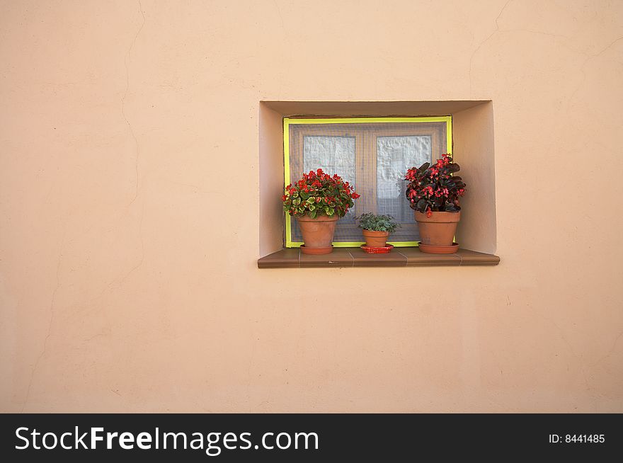 Window and wall with red flowers