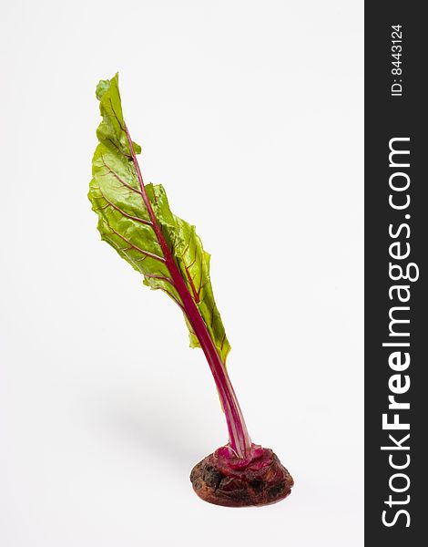 Fresh beetroot dry extract  isolated white background. Fresh beetroot dry extract  isolated white background