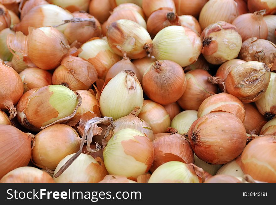 Onions at Farmer's Market