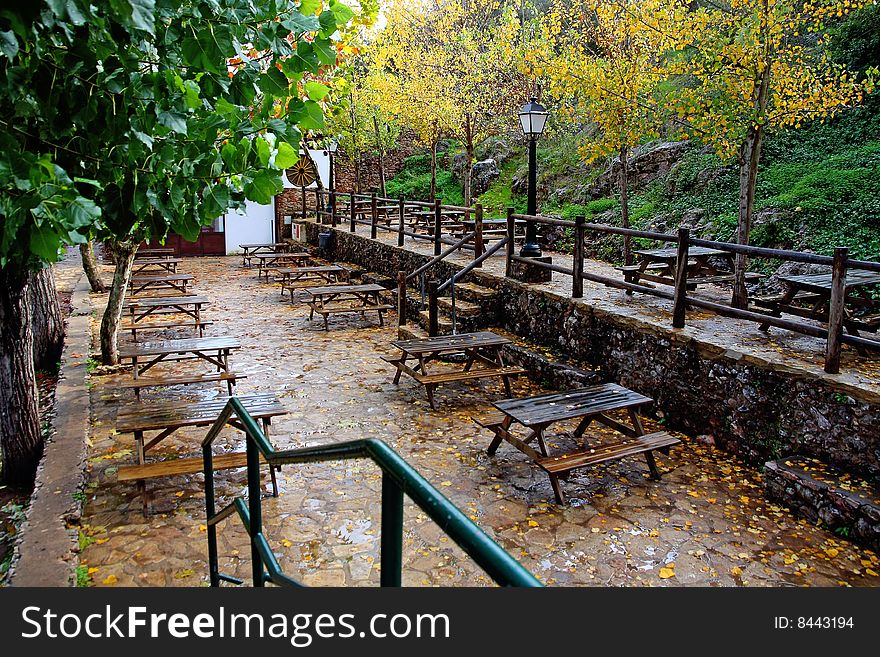 View of some outdoor lunch wooden tables on a city park with many fallen leafs. View of some outdoor lunch wooden tables on a city park with many fallen leafs.