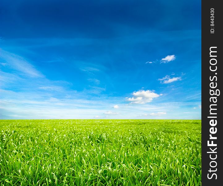 Background of cloudy sky and grass. Background of cloudy sky and grass