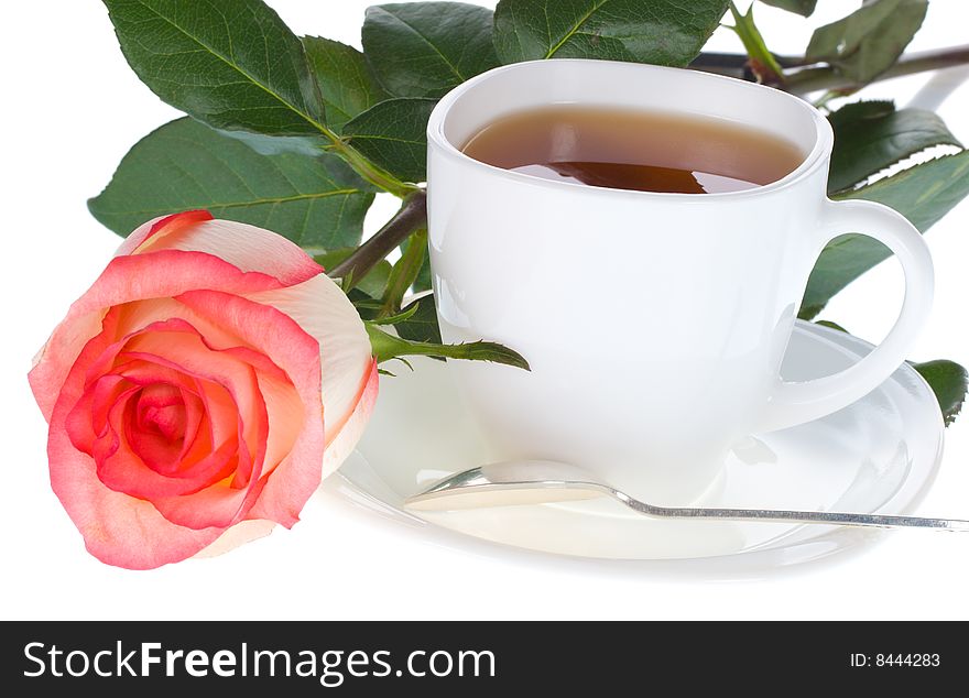 Close-up rose and cup of tea, isolated on white