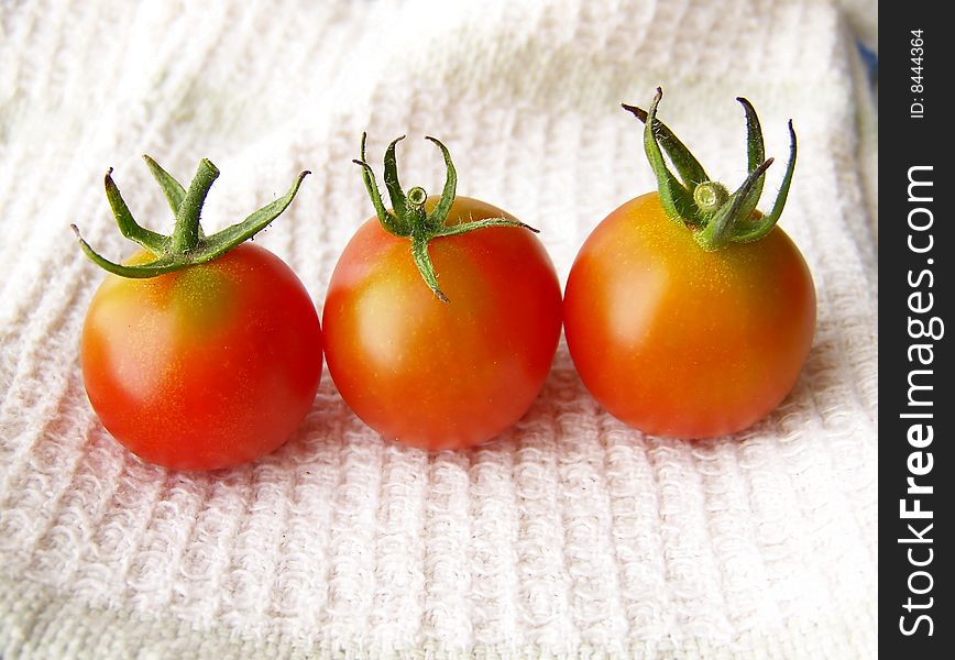 Image of small, bright tomatoes on white kitchen linen. Image of small, bright tomatoes on white kitchen linen.