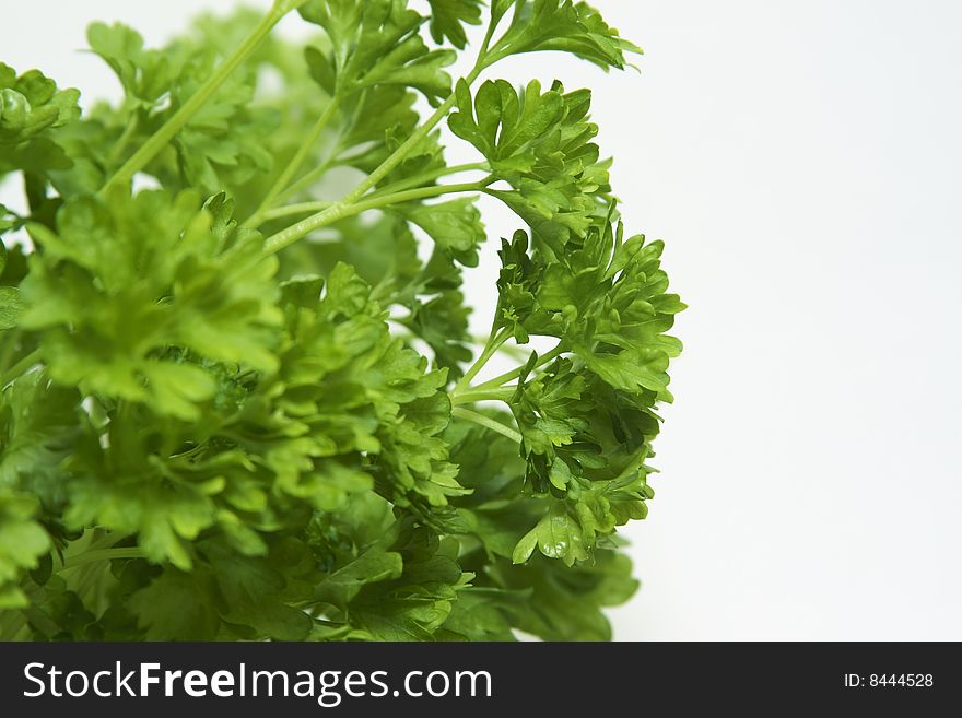 Bunch Of Parsley Isolated On White.