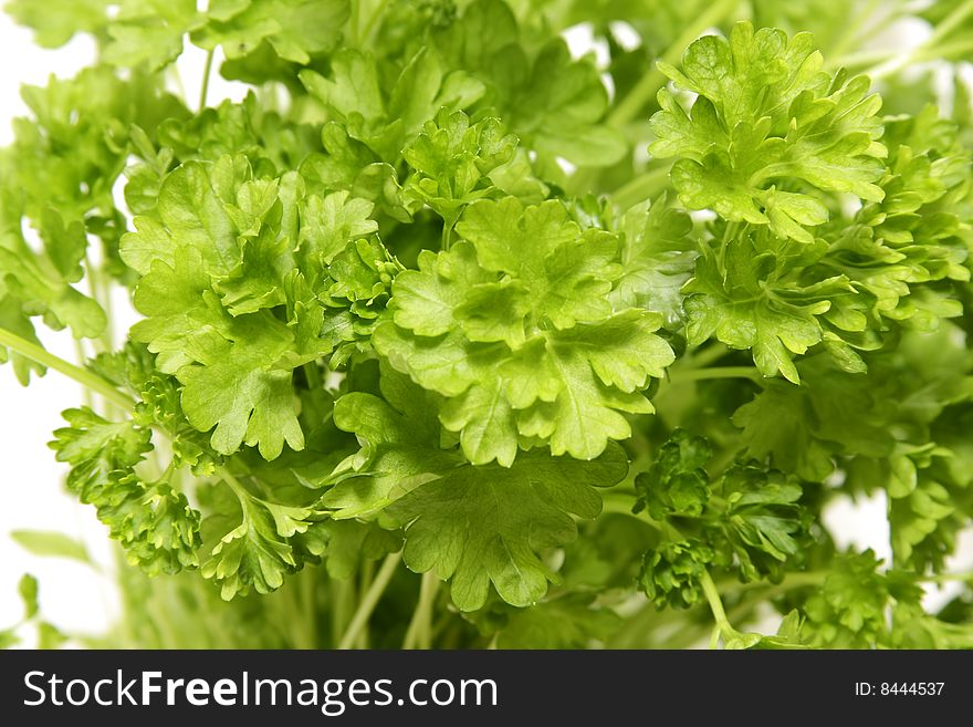 Bunch of parsley isolated on white.