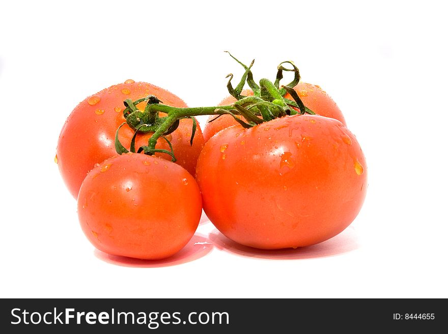 Fresh red tomatoes isolated on white. Fresh red tomatoes isolated on white