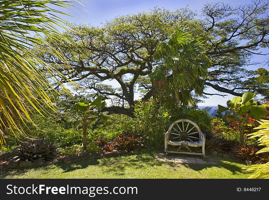 A wooden chair sits under a spreading tree in a lush garden under blue skies. A wooden chair sits under a spreading tree in a lush garden under blue skies