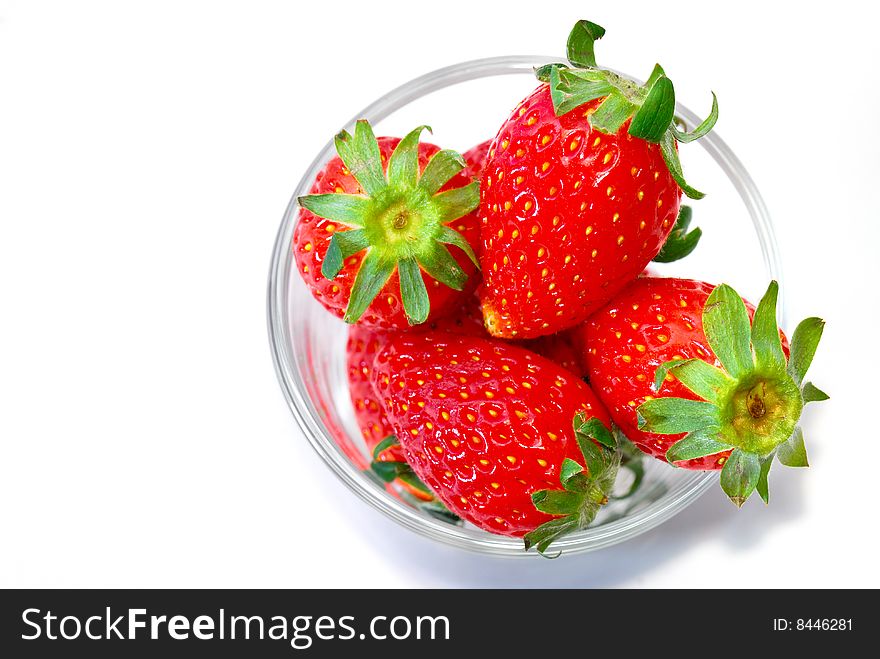 Strawberry Series 11