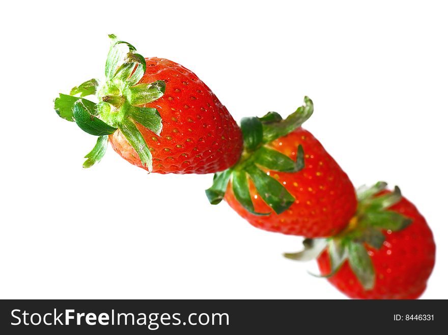 Strawberry Series 23