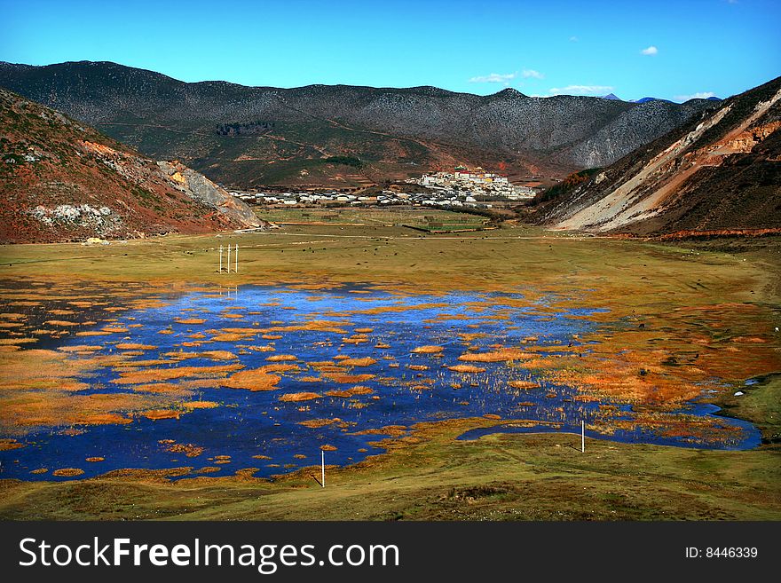 It is a beautiful meadow