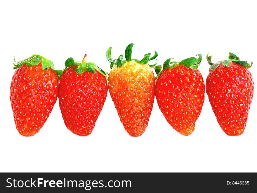 Strawberry Series 17
