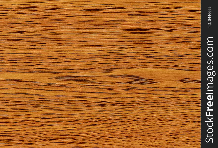 Close-up Wooden Oak Texture