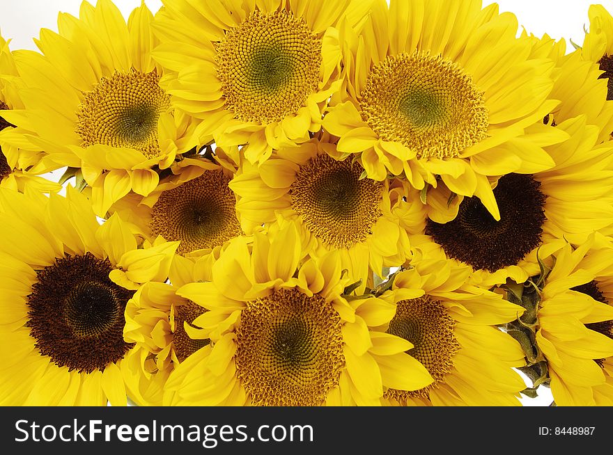 Yellow flower background- suitable for seasonal designs. Yellow flower background- suitable for seasonal designs