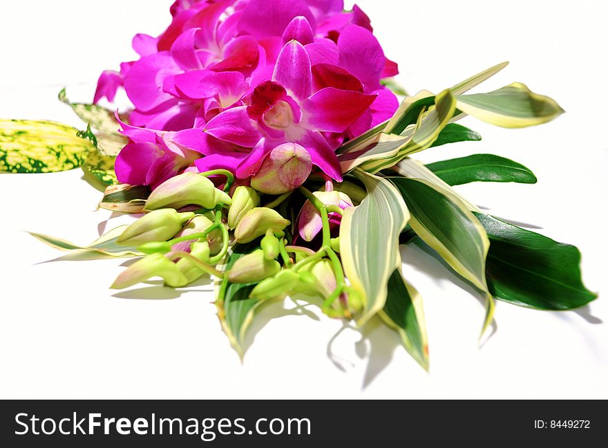 Orchid bouquet on white background