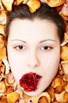 Girl In Petals With Rose Royalty Free Stock Images Girl In Petals With Rose Royalty Free Stock Images