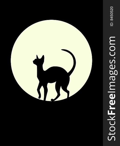 Silhouette of a black cat against the moon