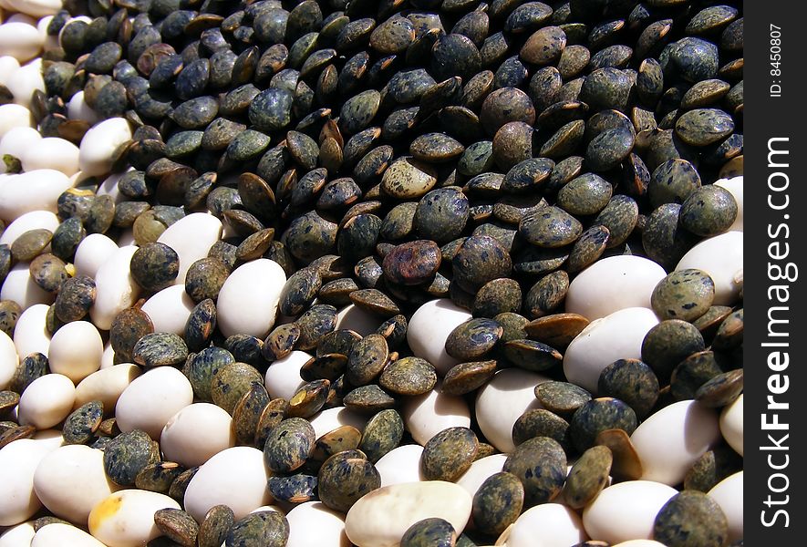 Wniten beans and French lentils close up