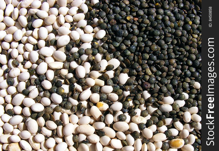 Wniten beans and French lentils close up