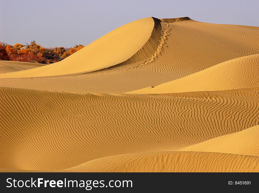 Beautiful Curves made by a sand hill in the deserts