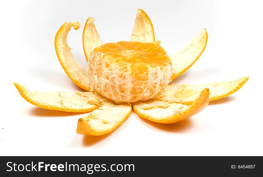 Slice orange with peel in view flower on white