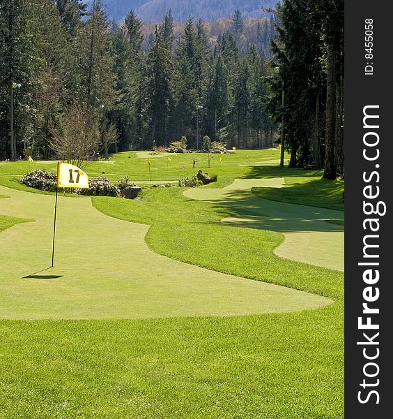 A golf green and pin in a putting range. A golf green and pin in a putting range