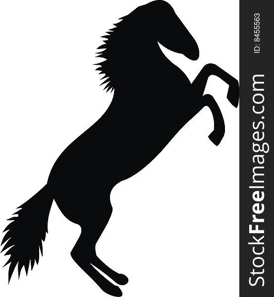 Vector black horse silhouette,white background