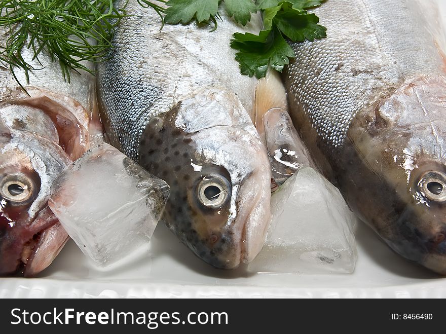 Fresh trout for a tasty dish