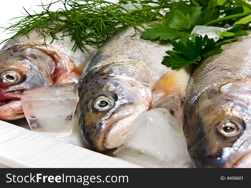 Fresh trout for a tasty dish. Fresh trout for a tasty dish