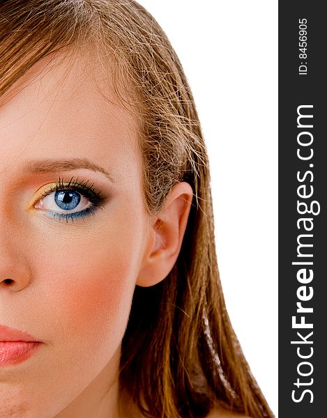 Half length view of woman looking at camera on an isolated background