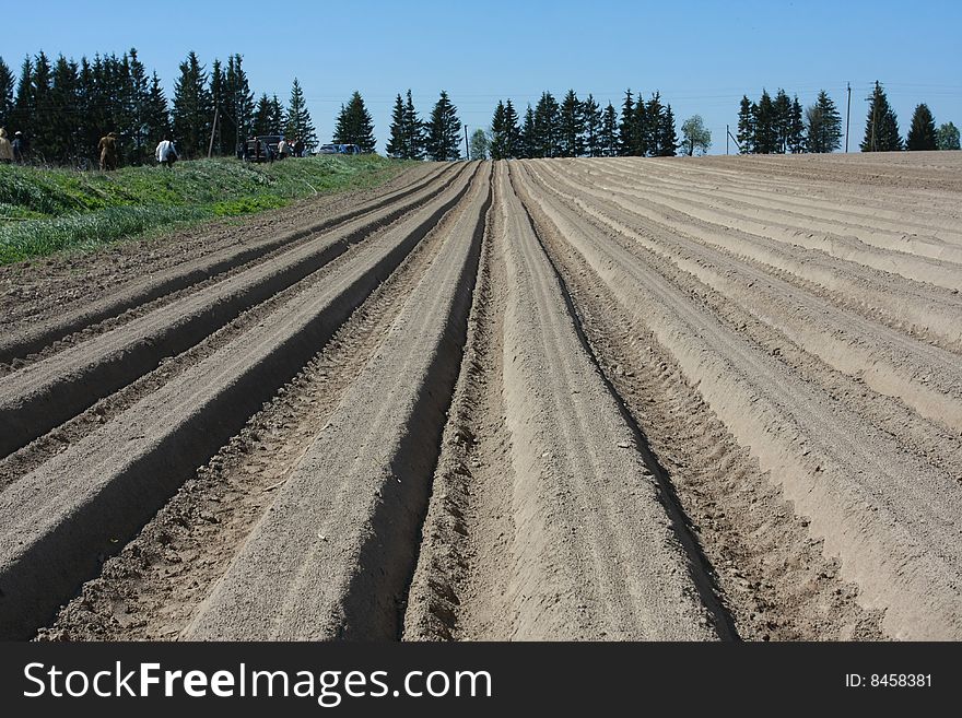 Combine track in the field during sowing.