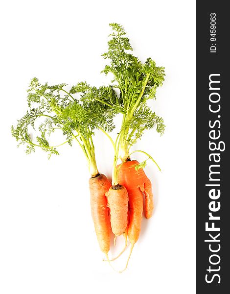 Bunch of fresh carrot in white background。