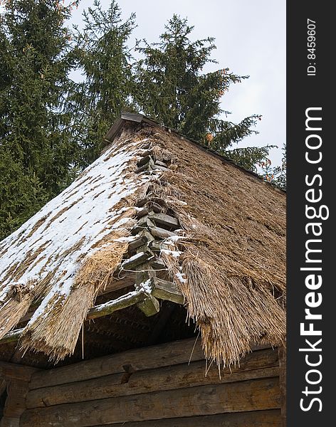 Thatch Roof