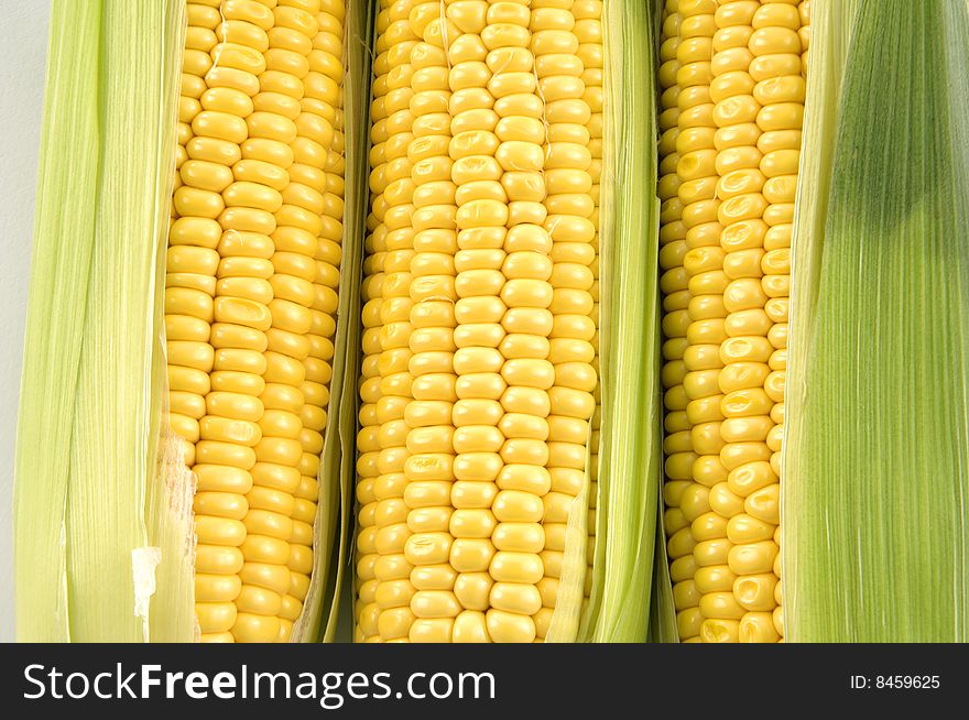 Freshly harvested corn, close up