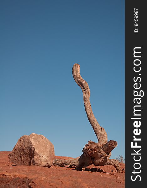 A rcok and a branchless tree in the desert. A rcok and a branchless tree in the desert