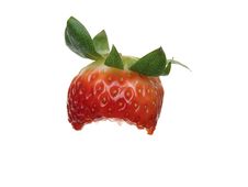 One Organic Partially Eaten Strawberry Stock Photos