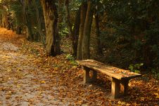 Bench Stock Images Bench Stock Images