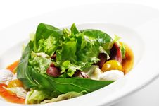 Duck Breast Salad With Red Chaud-Froid Sauce Stock Photos