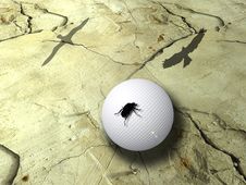 Marble For Golf Stock Photos Marble For Golf Stock Photos