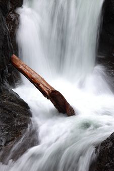 Closeup Of Tree Stuck In Waterfall Stock Image