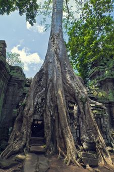 Angkor Wat Royalty Free Stock Images Angkor Wat Royalty Free Stock Images